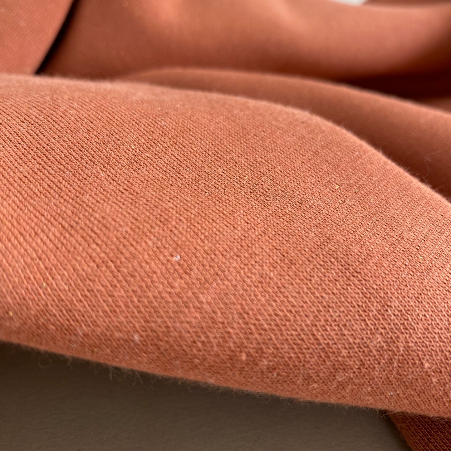 Sparkle Sweatshirt Fleece Chestnut