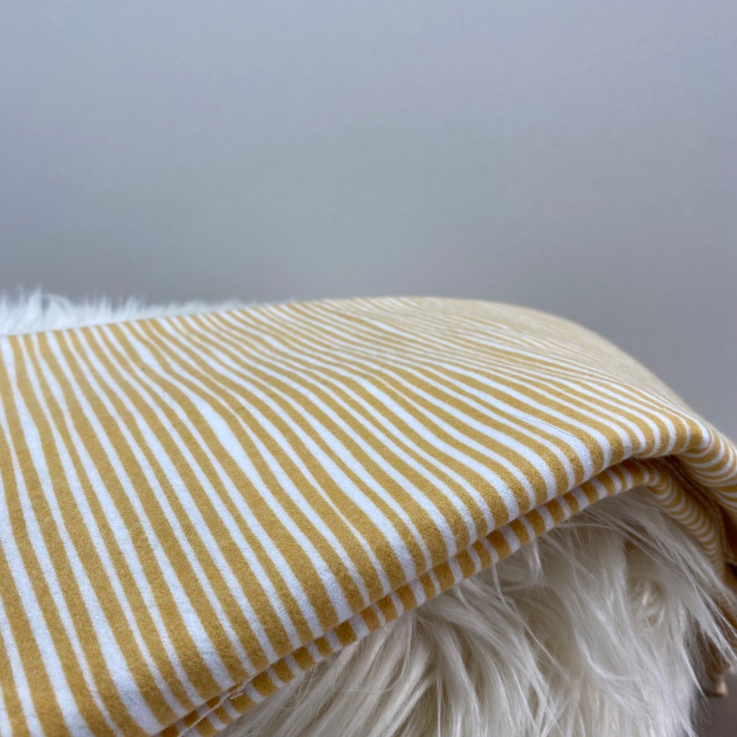 Cloud9 Northerly Organic Cotton Flannel Gold Straws 2m