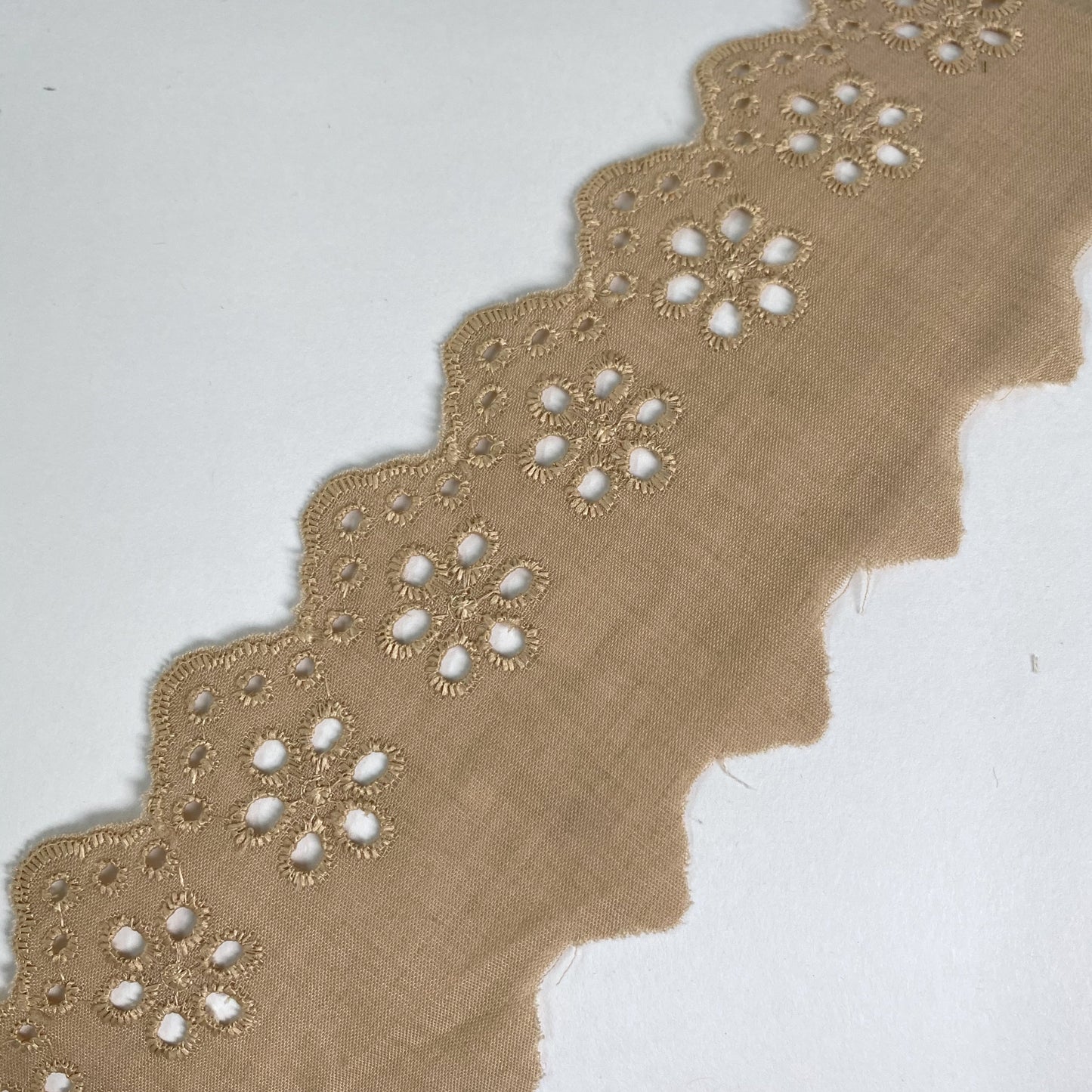Eyelet Embroidered Lace 50mm